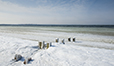 West Meadow in Winter